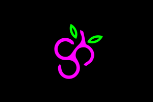 πάροχο Spinberry