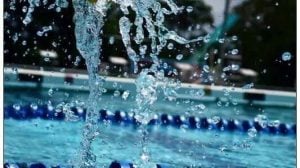 Μπέογκραντ Ολυμπιακός