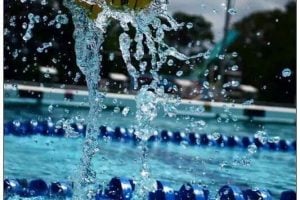 Μπέογκραντ Ολυμπιακός