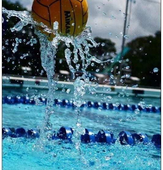 Μπέογκραντ Ολυμπιακός